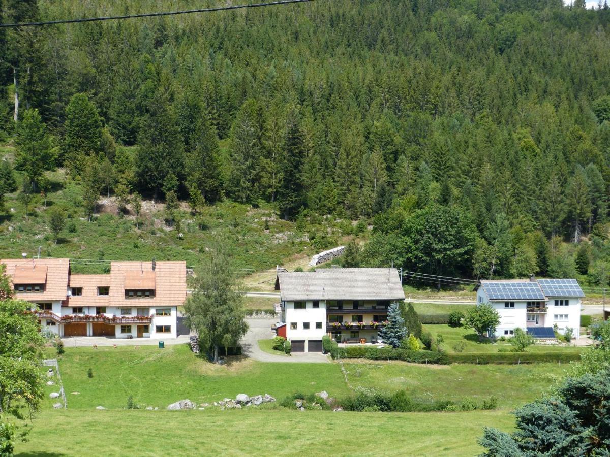 Ferienwohnung Haus Wiesengrund Форбаш Экстерьер фото